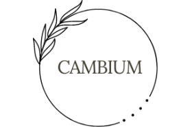 Cambium Associates, LLC