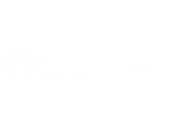New England Federal Credit Union Visa Explorer Credit Card New England Federal Credit Union Visa Explorer Credit Card