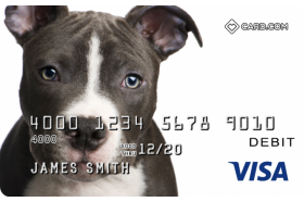 Pitbull Design CARD.com Prepaid Visa