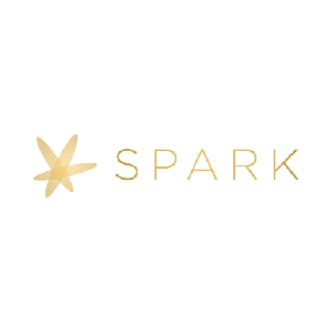 Spark Finance (Company) 2024 Reviews - SuperMoney