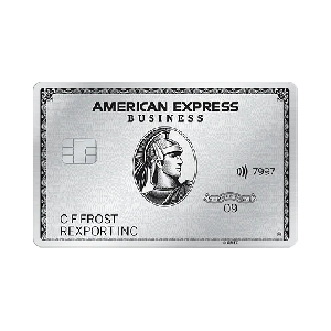 Review: is American Express Business Platinum worth it? (2023)