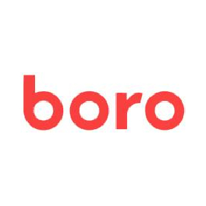 Boro Auto Loan Reviews (2022) | SuperMoney