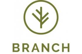 Branch Auto Insurance