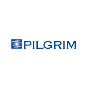 Pilgrim Insurance Company Reviews (2024) - SuperMoney