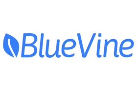 BlueVine Business Checking