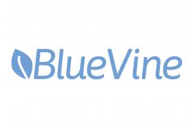 BlueVine Business Line of Credit